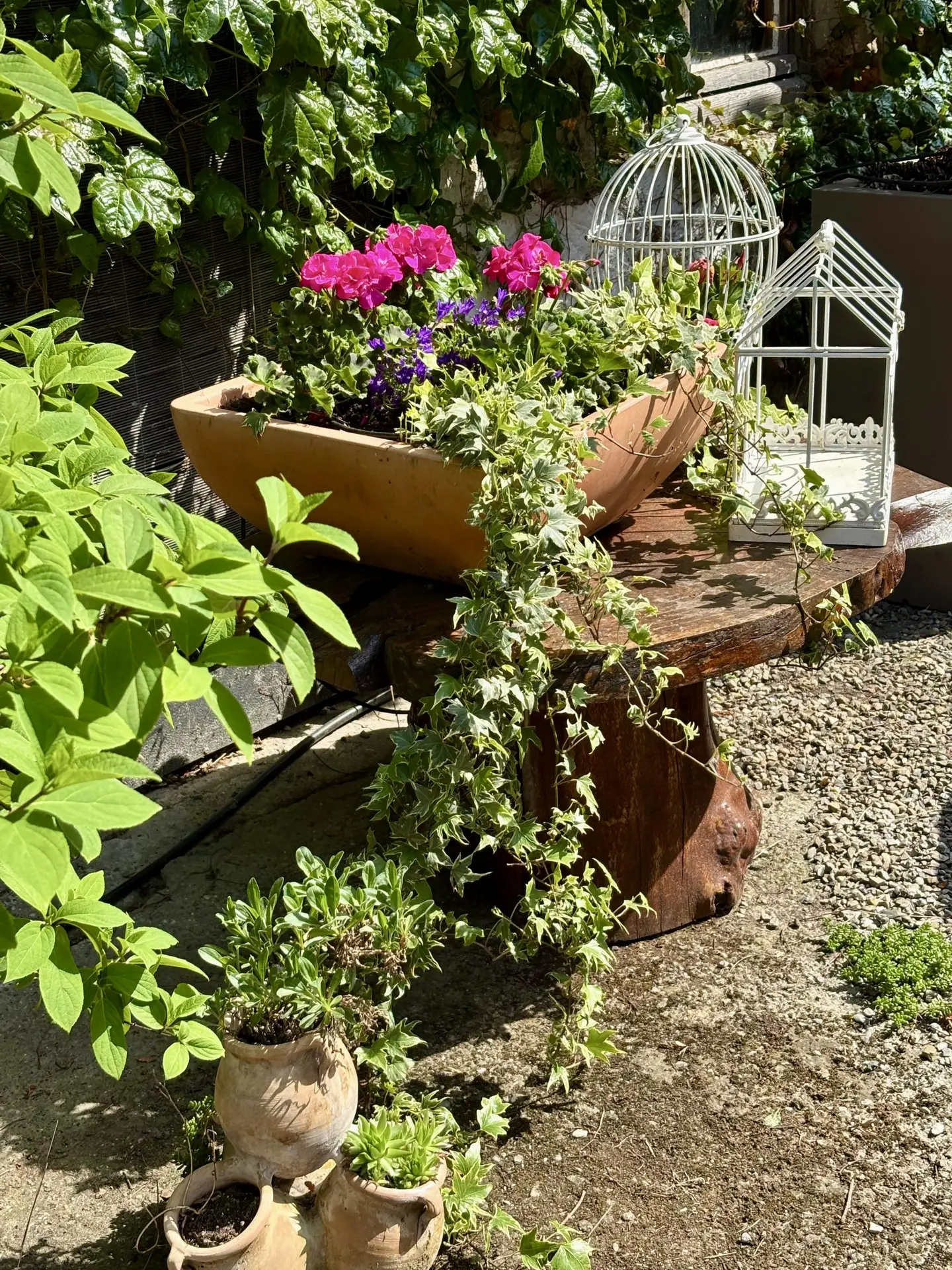 Terrasse-Ambiance-9